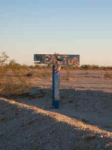 cactusca.JPG