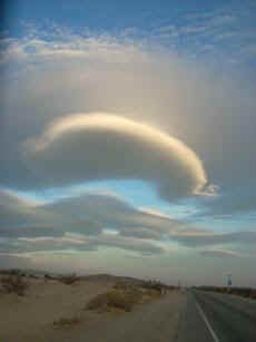 ablenticular.JPG (5247 bytes)